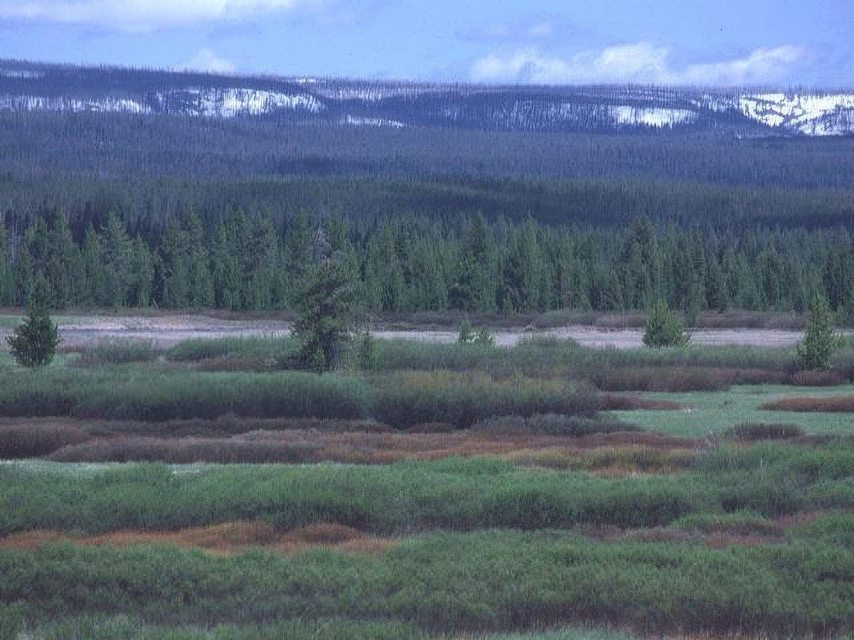 Landscape Alaskan Tundra Mountains A4 Photo Print