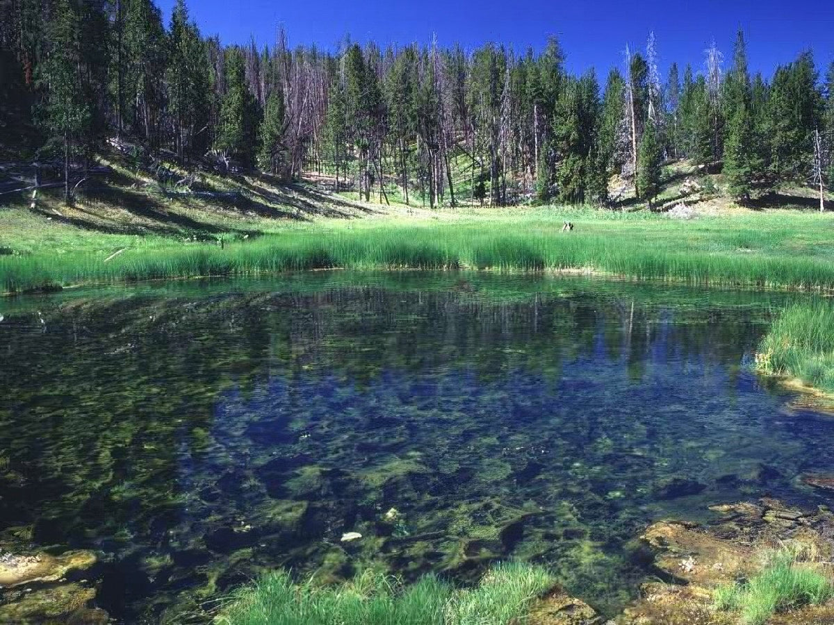 Landscape Alpine Lake Yellowstone A4 Photo Print