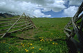 Landscape Alpine Meadow Fence A4 Photo Print