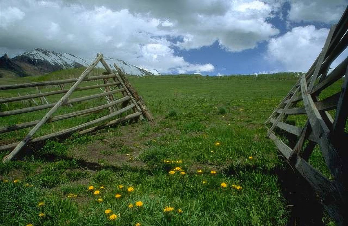 Landscape Alpine Meadow Fence A4 Photo Print