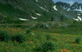 Landscape Alpine Meadow Mountains A4 Photo Print