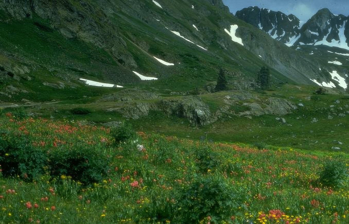 Landscape Alpine Meadow Mountains A4 Photo Print