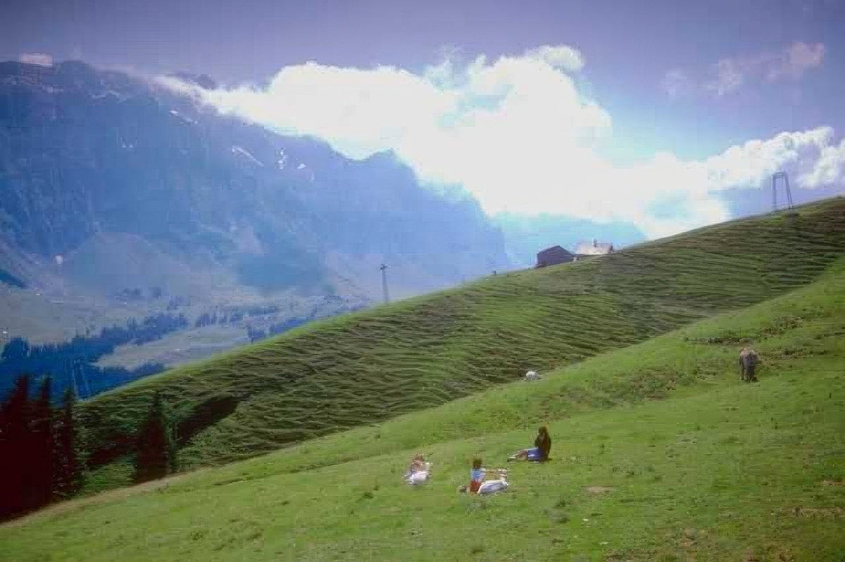 Landscape Alpine Meadow Switzerland A4 Photo Print