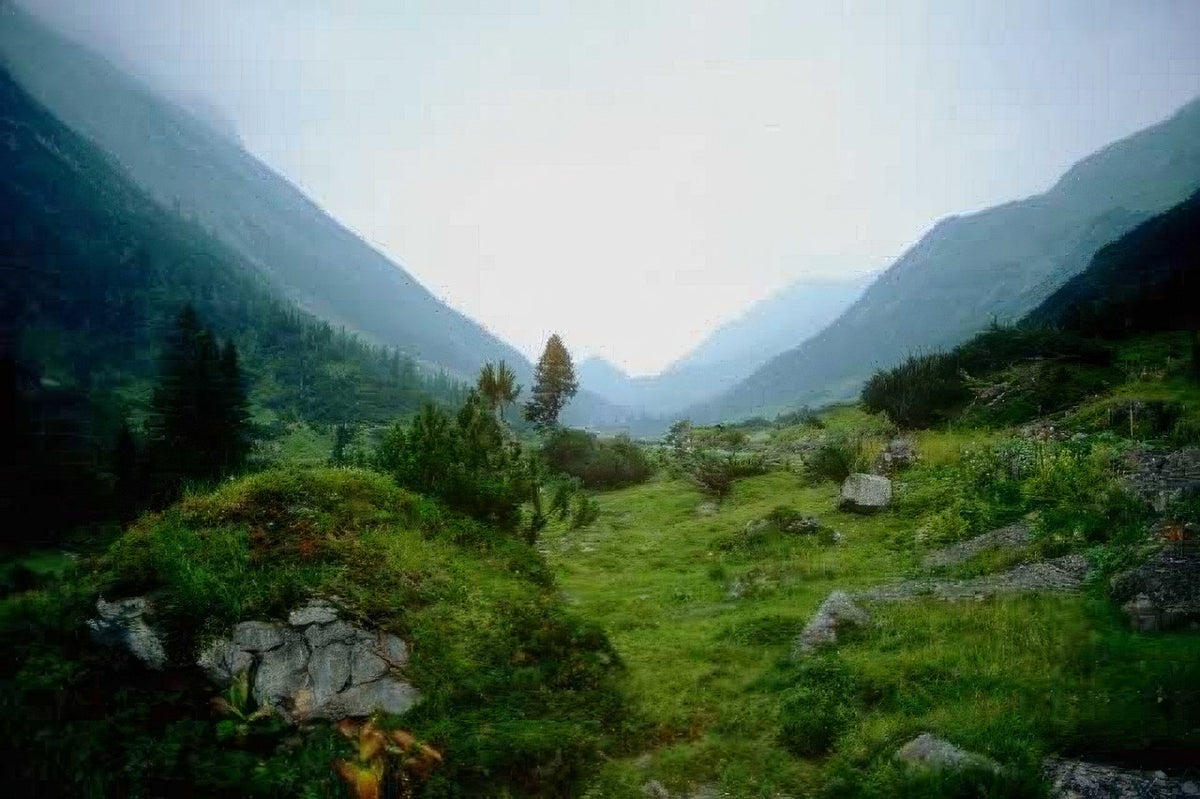 Landscape Alpine Valley Mist A4 Photo Print