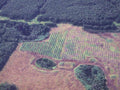 Landscape Amazon Terra Deforest A4 Photo Print