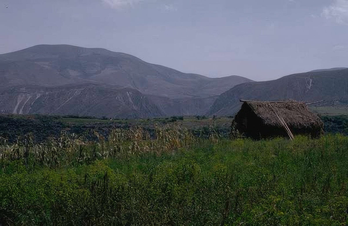 Landscape Andes Hut Landscape A4 Photo Print