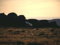 Landscape Arches Balanced Rock 2 2 A4 Photo Print