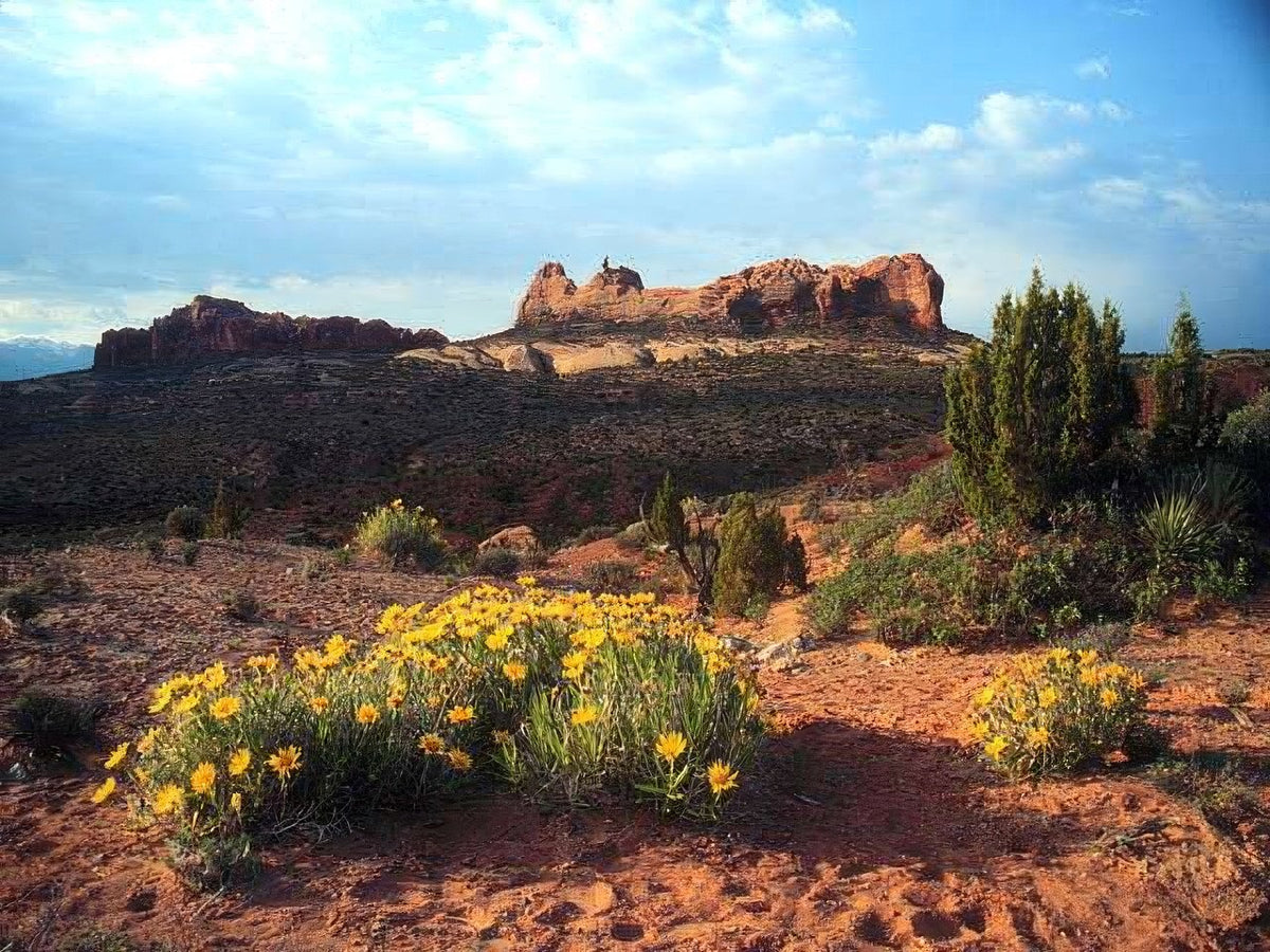 Landscape Arches Balanced Rock 2 A4 Photo Print