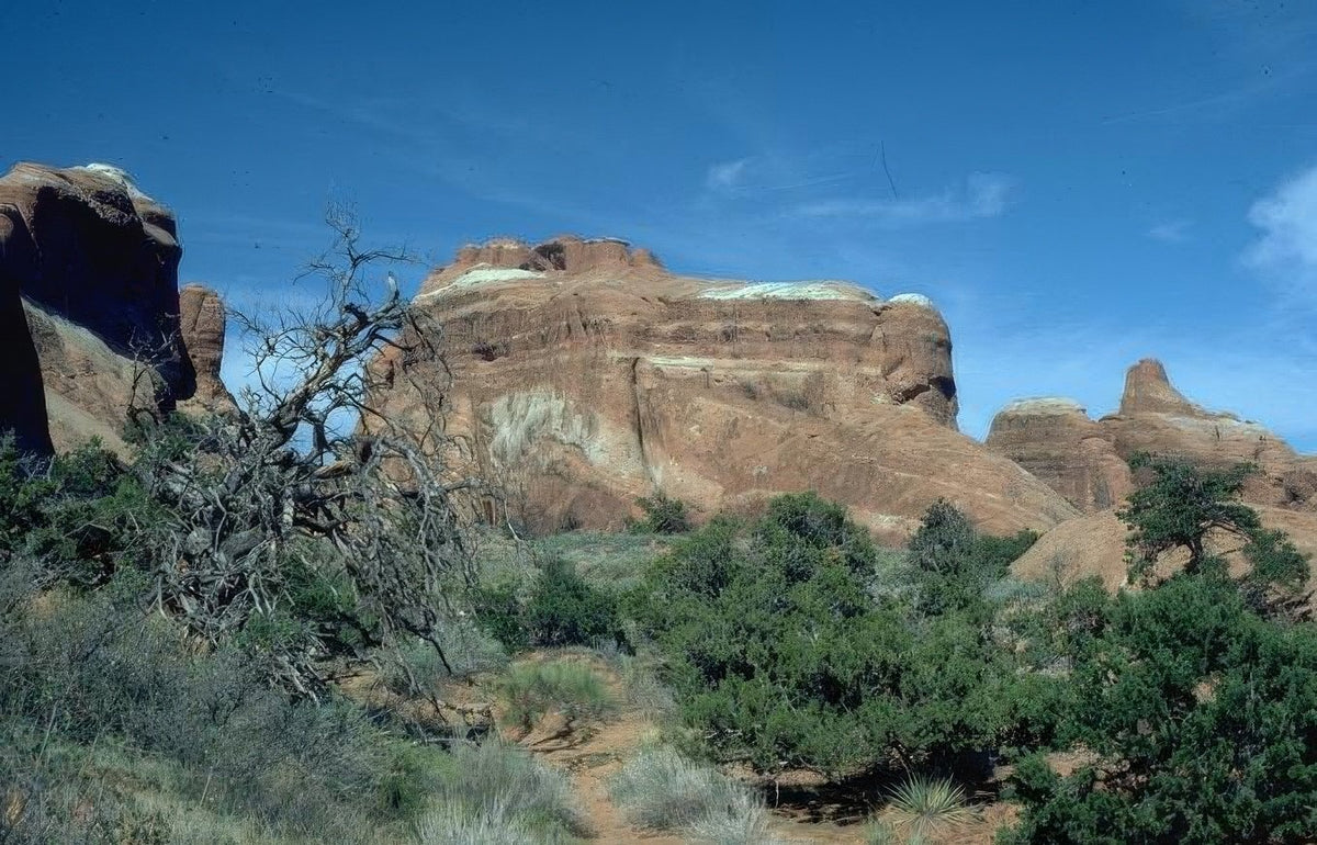 Landscape Arches Balanced Rock 3 5 A4 Photo Print
