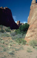 Landscape Arches Balanced Rock 5 2 A4 Photo Print