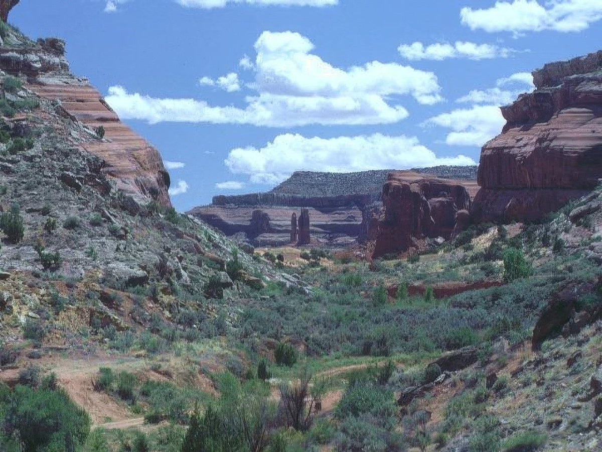 Landscape Arches Balanced Rock A4 Photo Print