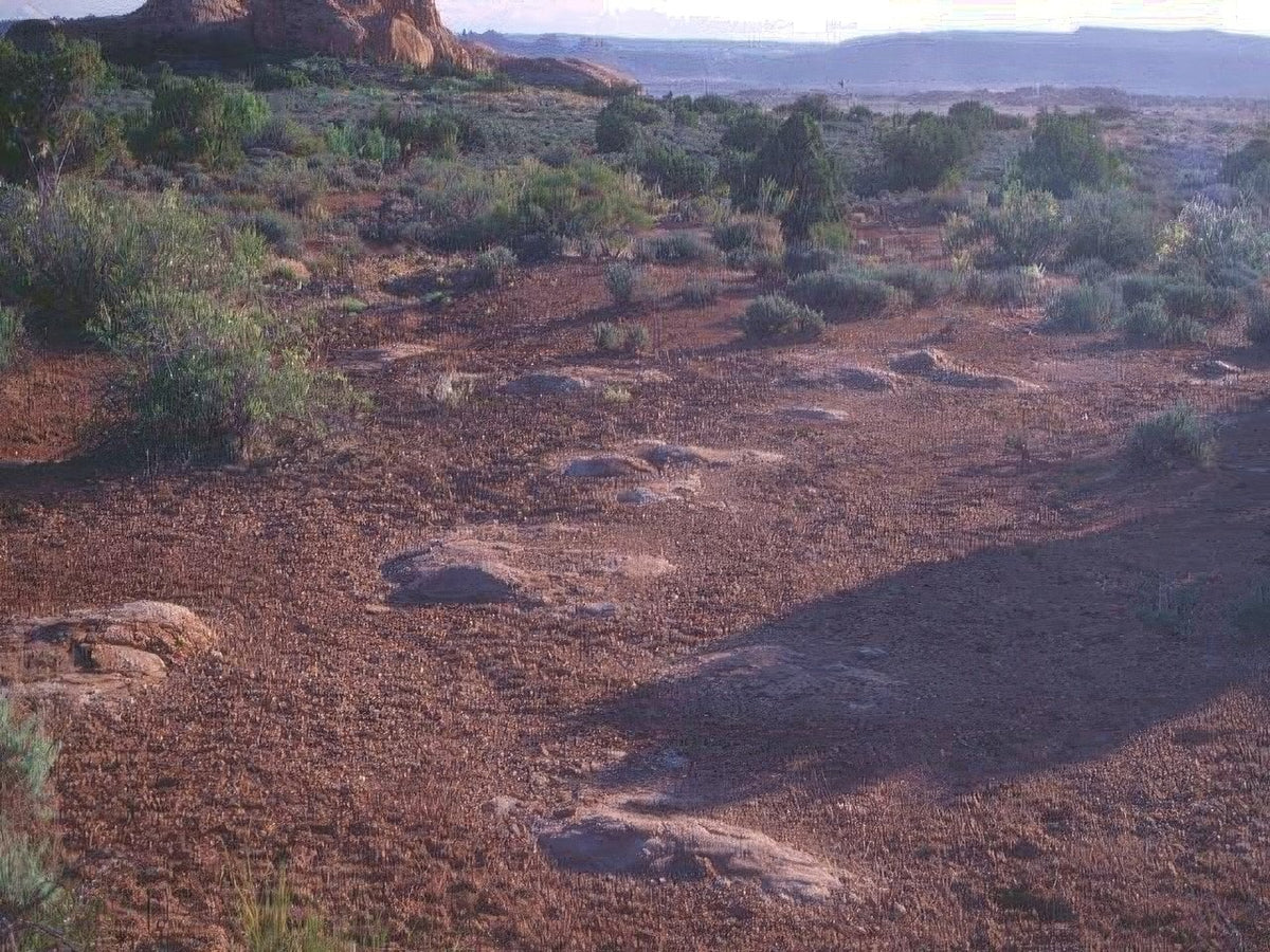 Landscape Arches National Park A4 Photo Print
