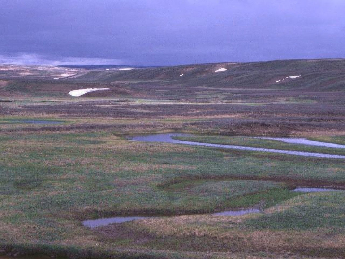 Landscape Arctic Wetland Iceland A4 Photo Print