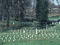 Landscape Arlington Spring View A4 Photo Print
