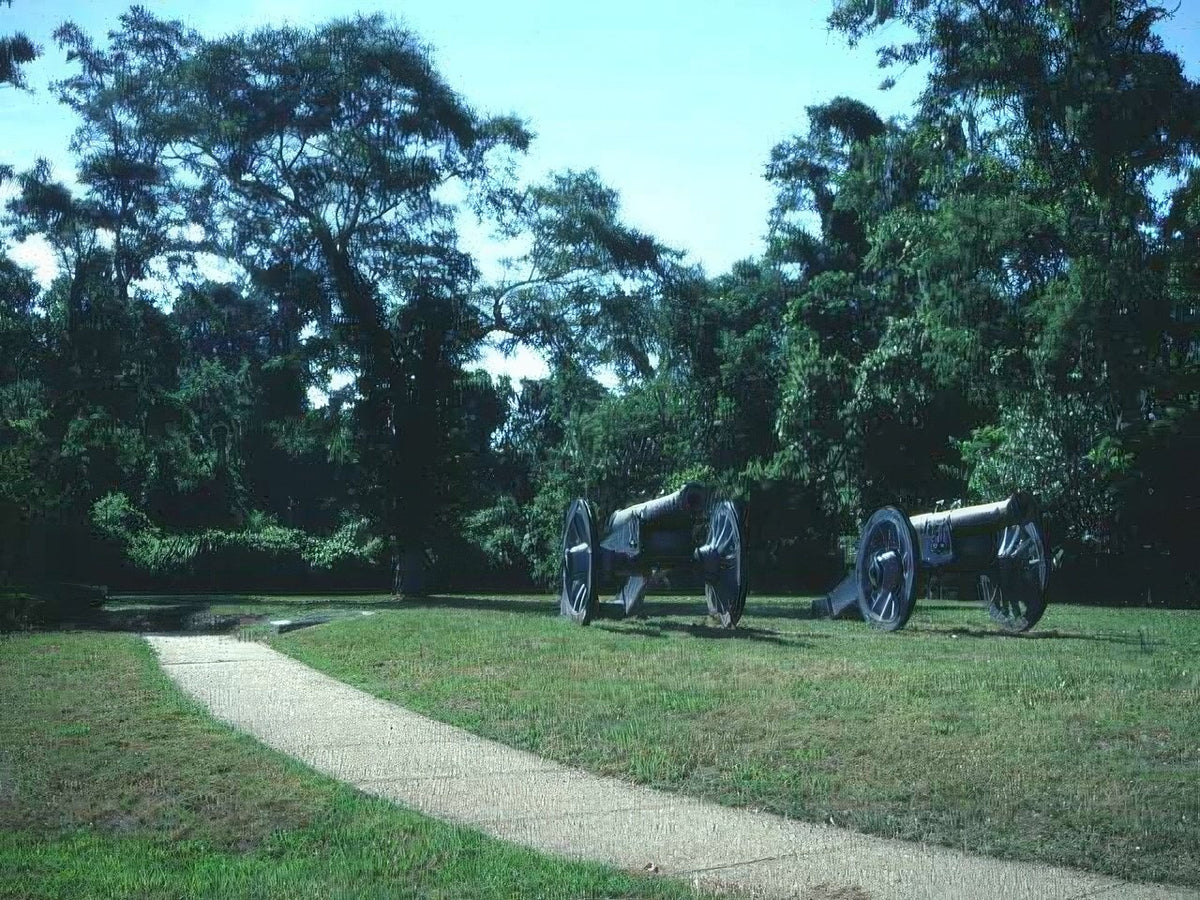Landscape Artillery Cannons Forest A4 Photo Print
