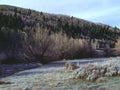 Landscape Aspen Grove Winter 2 A4 Photo Print