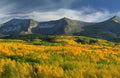 Landscape Autumn Aspen Mountains 3 A4 Photo Print