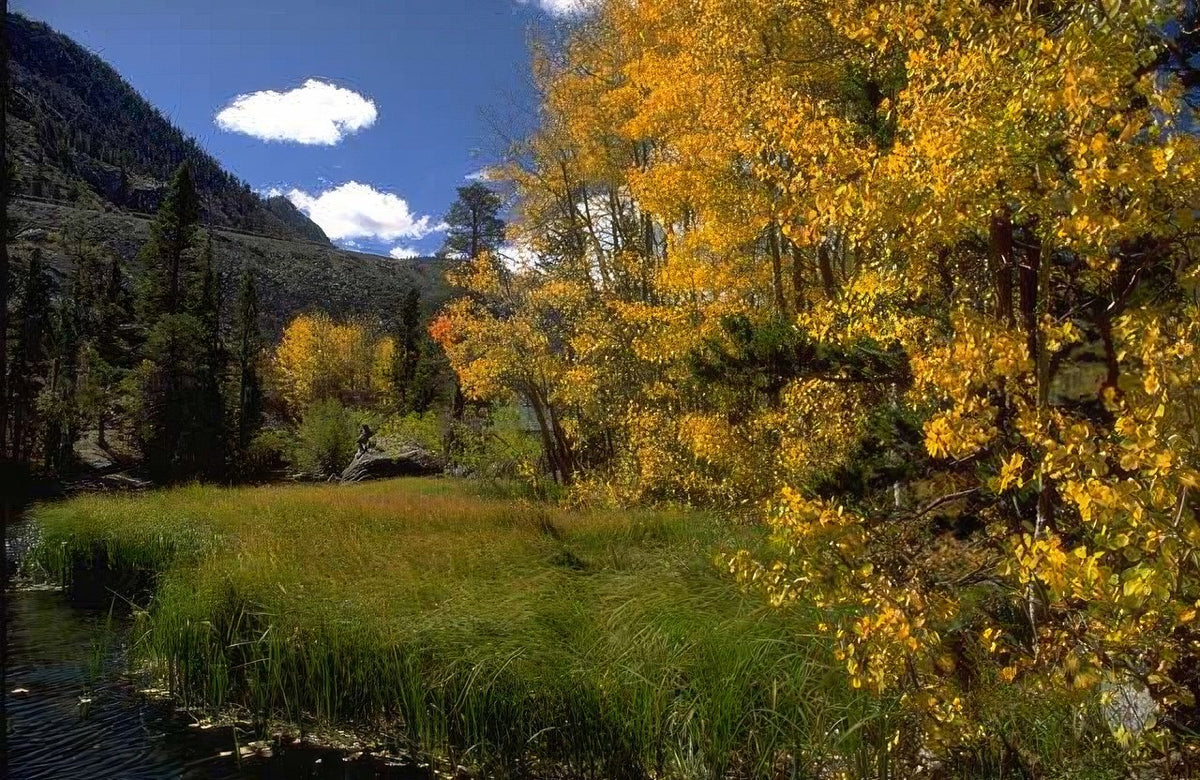 Landscape Autumn Aspen Mountains A4 Photo Print