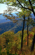 Landscape Autumn Blue Ridge A4 Photo Print