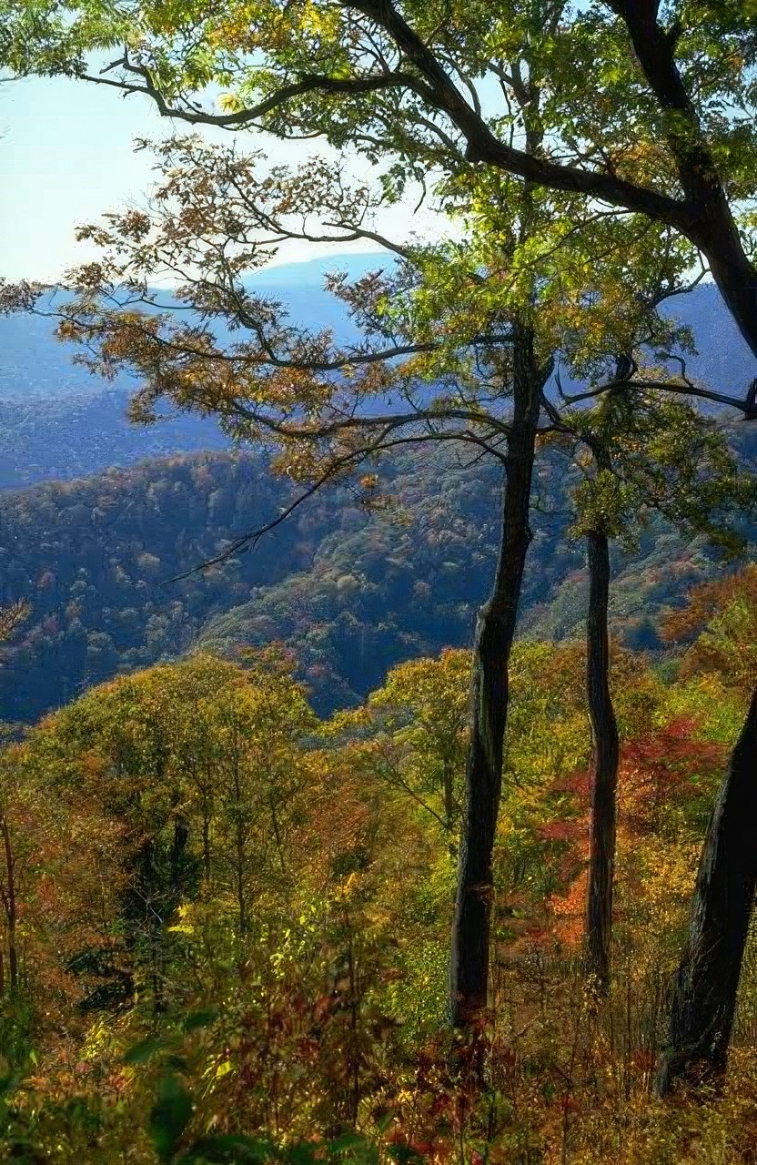 Landscape Autumn Blue Ridge A4 Photo Print