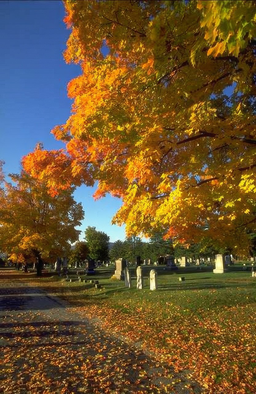 Landscape Autumn Cemetery Maples A4 Photo Print