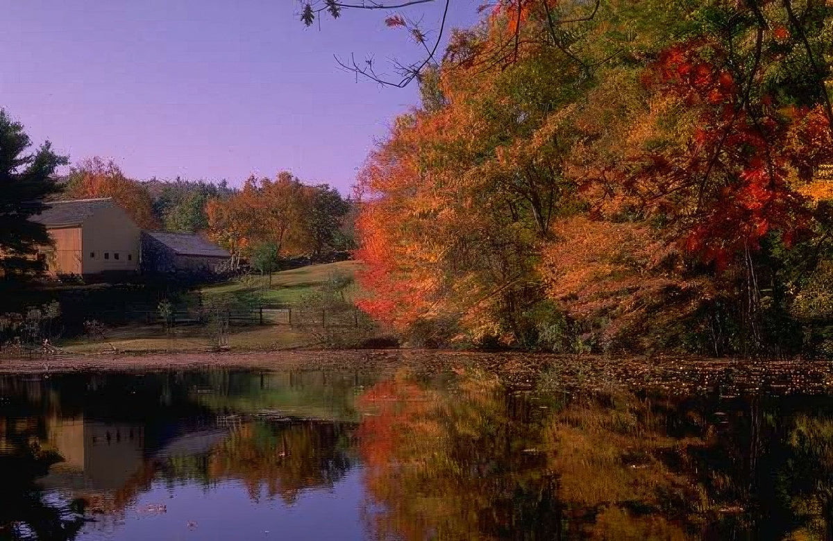Landscape Autumn Farm Reflection A4 Photo Print