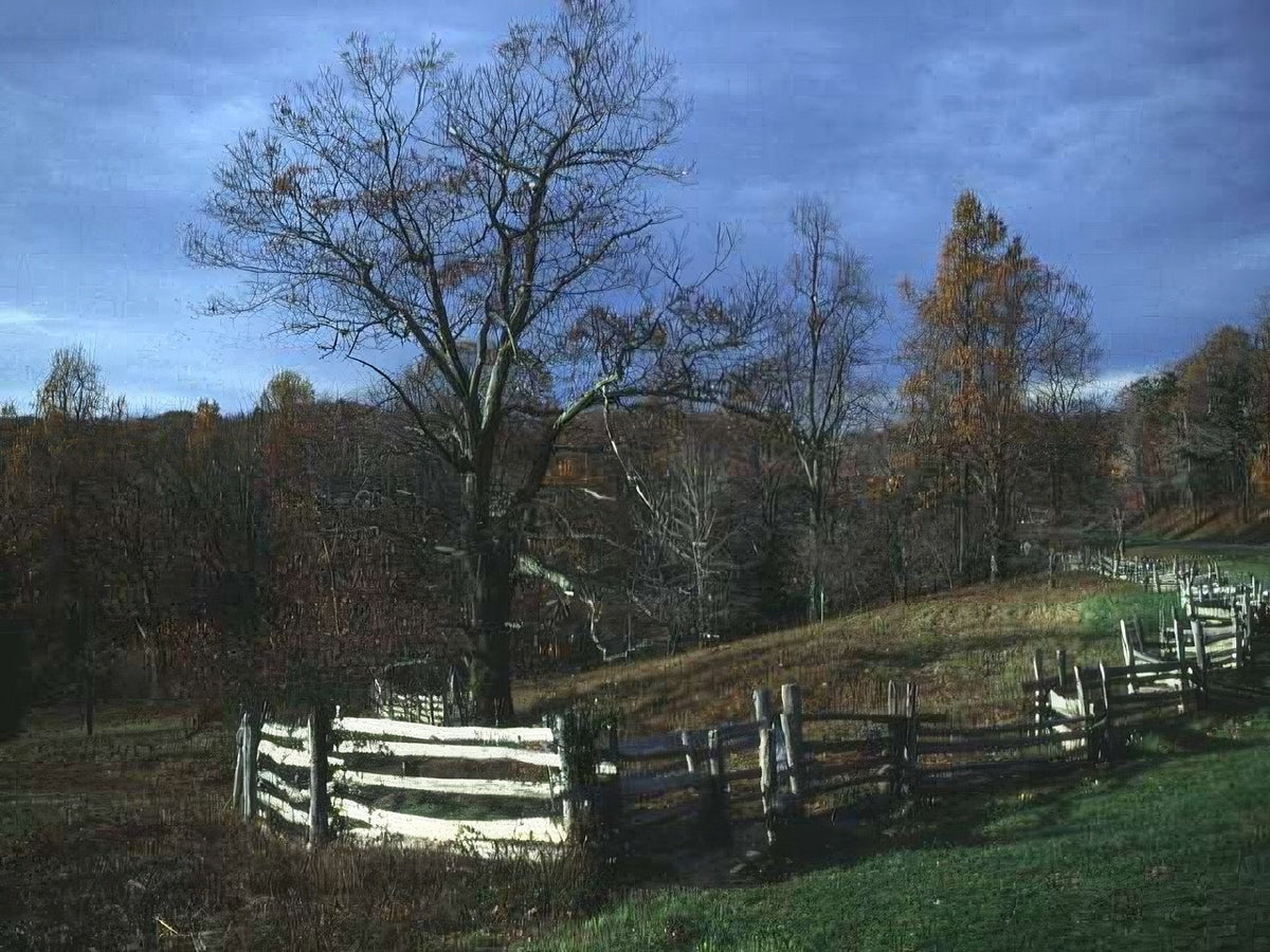 Landscape Autumn Fence Ridge A4 Photo Print