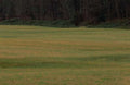 Landscape Autumn Field Forest A4 Photo Print
