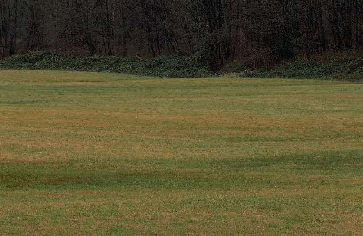 Landscape Autumn Field Forest A4 Photo Print