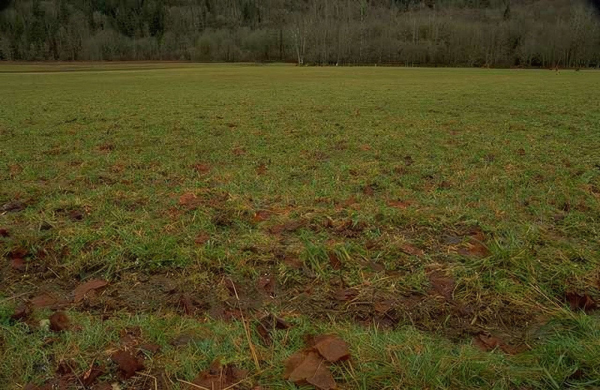 Landscape Autumn Field Leaves A4 Photo Print