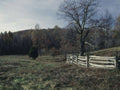 Landscape Autumn Field Trees A4 Photo Print