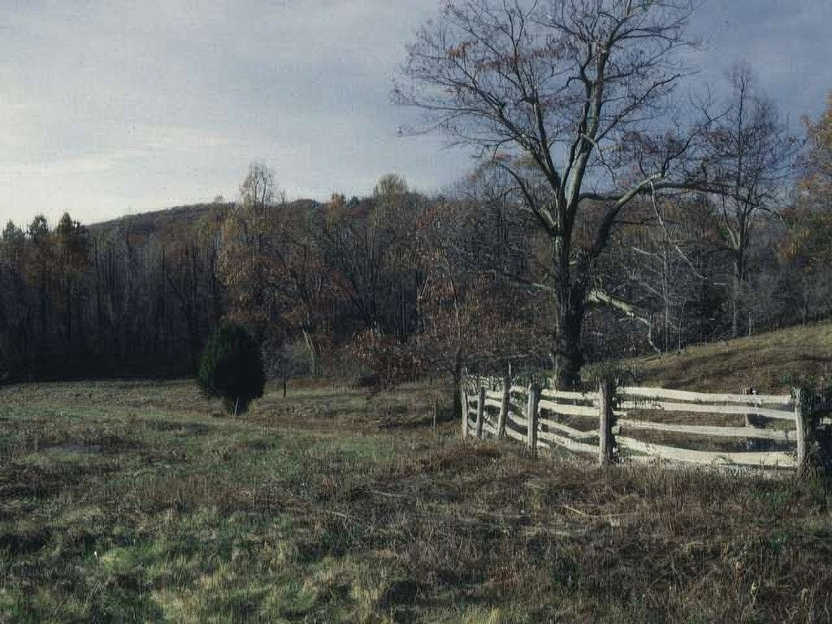 Landscape Autumn Field Trees A4 Photo Print