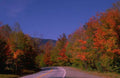 Landscape Autumn Foliage Road A4 Photo Print