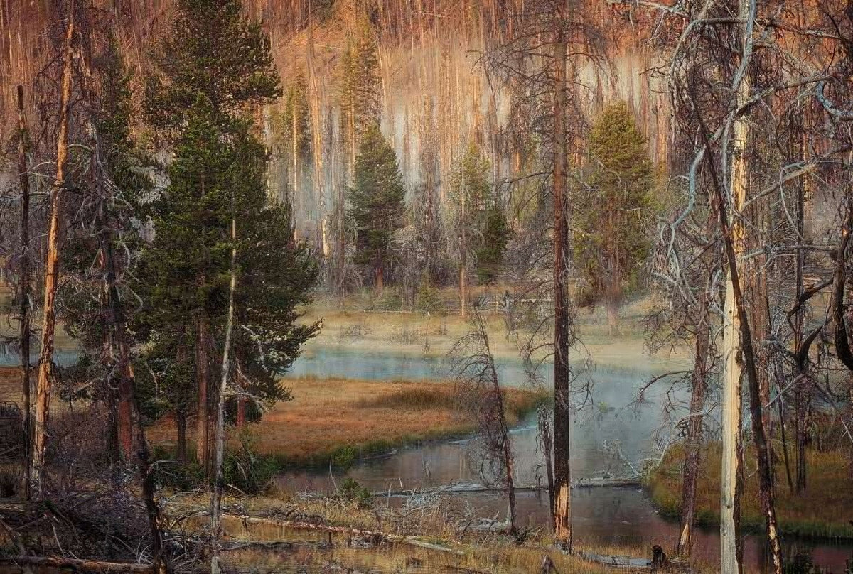 Landscape Autumn Forest Landscape 2 A4 Photo Print