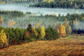 Landscape Autumn Forest Mist A4 Photo Print
