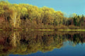 Landscape Autumn Forest Reflection A4 Photo Print