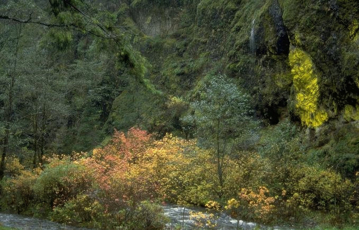 Landscape Autumn Forest Waterfall A4 Photo Print