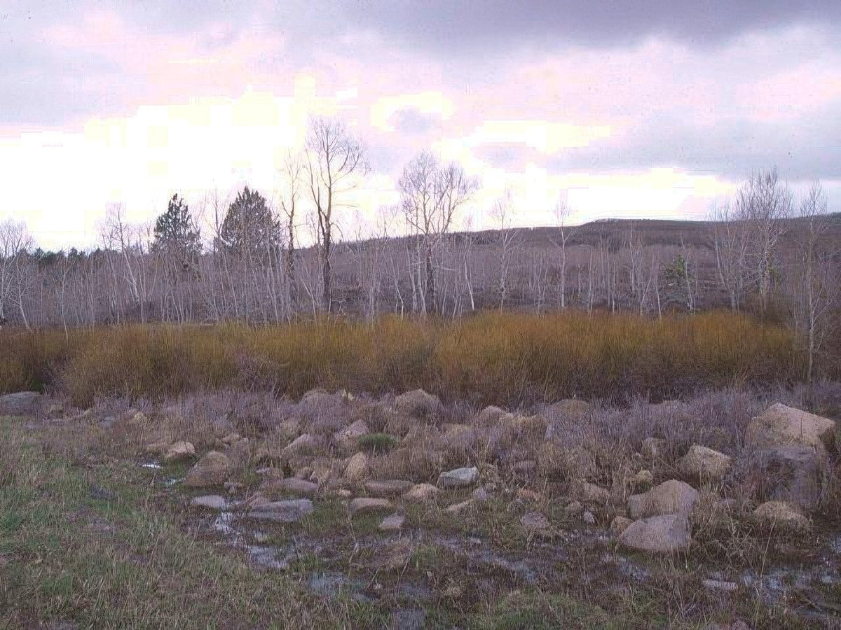 Landscape Autumn Hills Stream A4 Photo Print