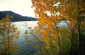 Landscape Autumn Lake Aspen A4 Photo Print