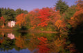 Landscape Autumn Lake Foliage A4 Photo Print
