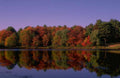 Landscape Autumn Lake Forest A4 Photo Print