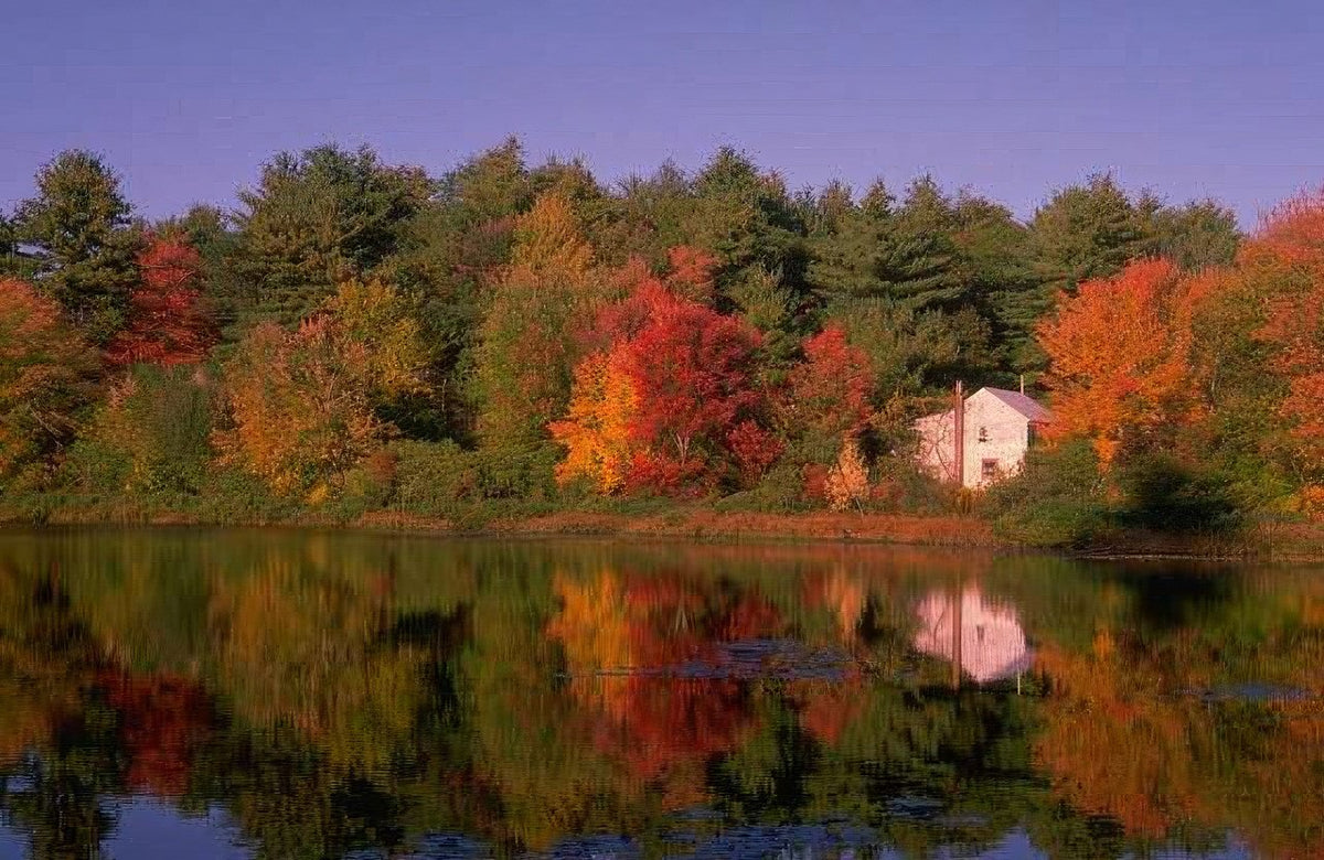 Landscape Autumn Lake House A4 Photo Print