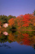 Landscape Autumn Lake Maple 1 A4 Photo Print