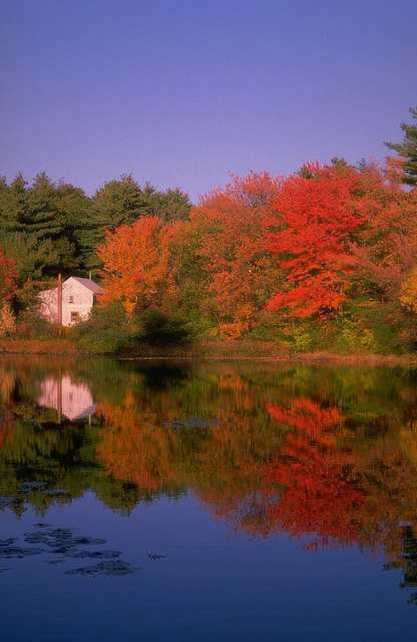 Landscape Autumn Lake Maple 1 A4 Photo Print