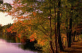 Landscape Autumn Lake Maple 2 A4 Photo Print