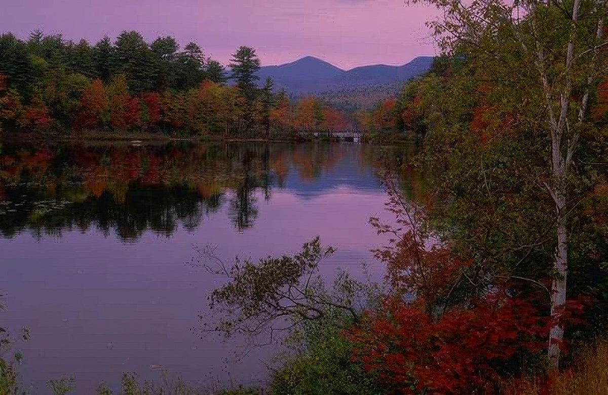 Landscape Autumn Lake Maple 3 A4 Photo Print