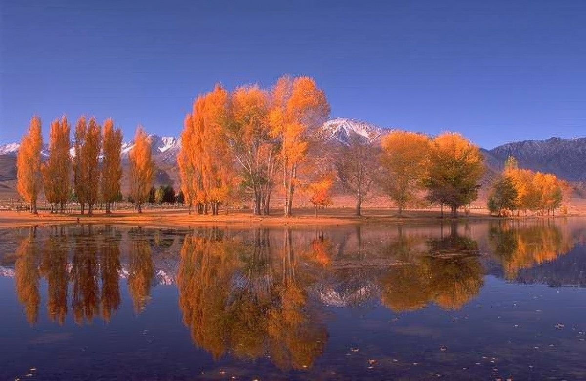 Landscape Autumn Lake Mountains 2 A4 Photo Print