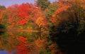 Landscape Autumn Lake Reflection 1 2 A4 Photo Print