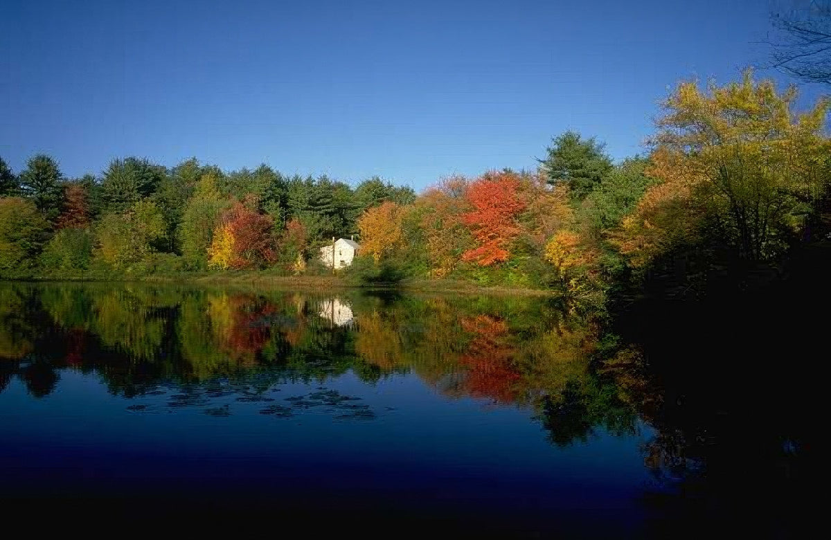 Landscape Autumn Lake Reflection 1 A4 Photo Print