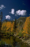 Landscape Autumn Lake Reflection 2 A4 Photo Print